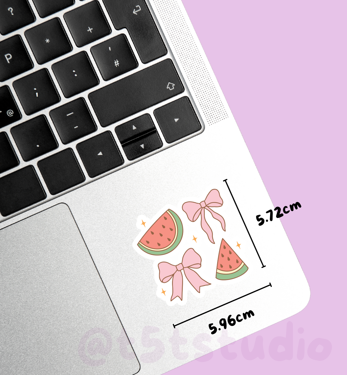 Watermelon Bow